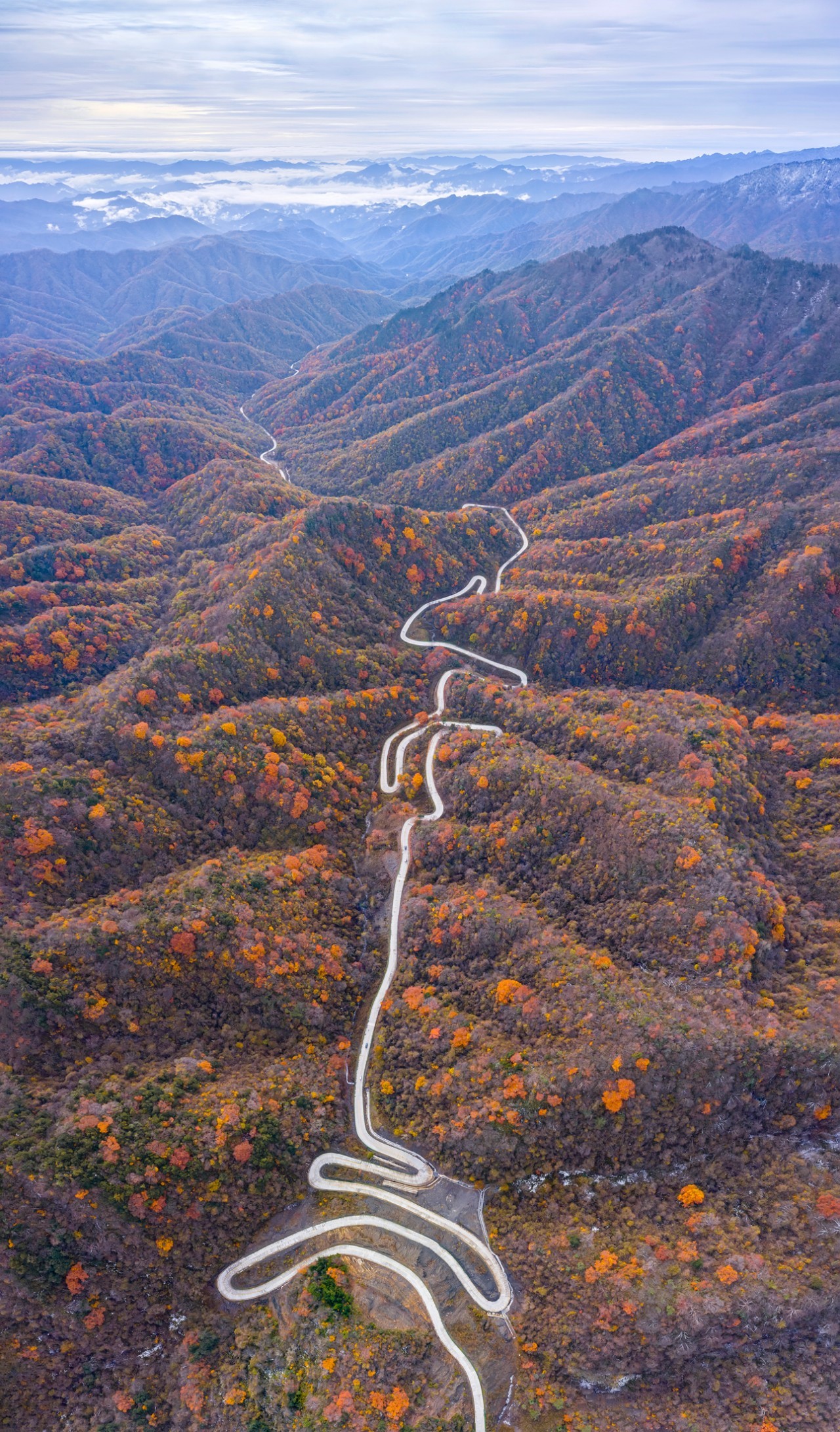 太子岭红叶 刘荣 摄